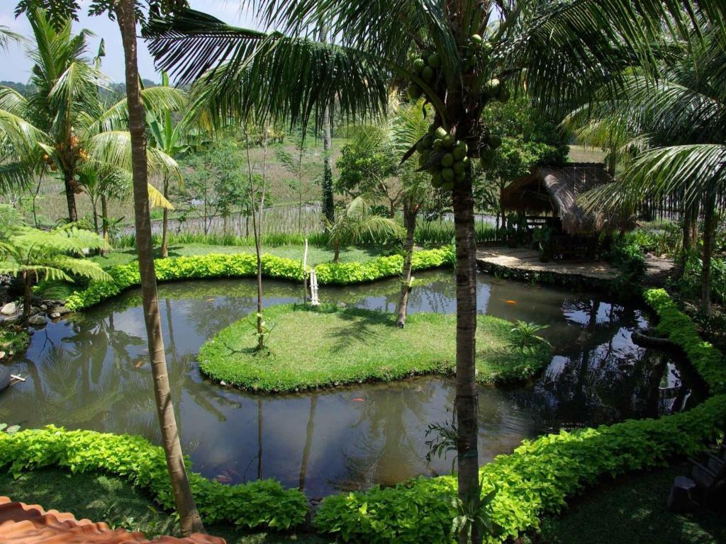 Hotel Omah Apik Ubud Zewnętrze zdjęcie