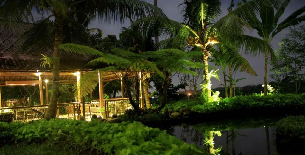Hotel Omah Apik Ubud Zewnętrze zdjęcie