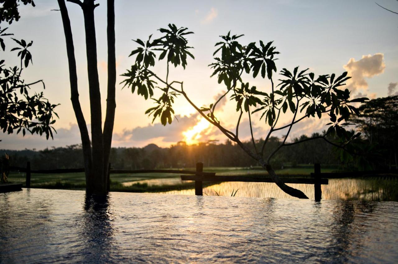 Hotel Omah Apik Ubud Zewnętrze zdjęcie