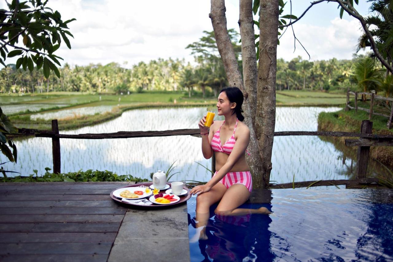 Hotel Omah Apik Ubud Zewnętrze zdjęcie