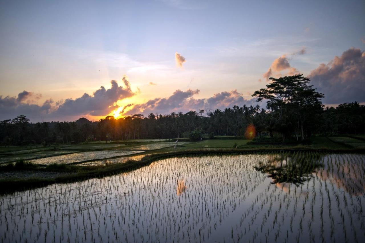 Hotel Omah Apik Ubud Zewnętrze zdjęcie
