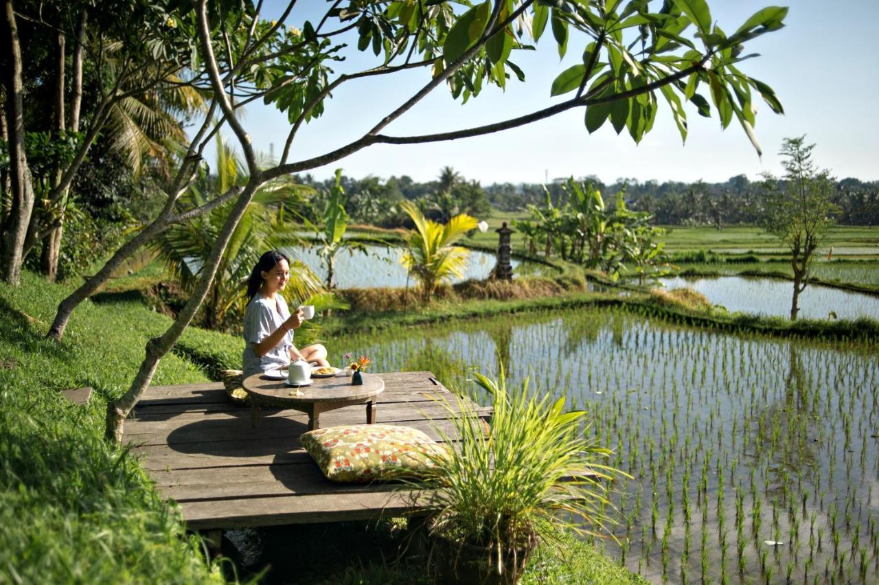 Hotel Omah Apik Ubud Zewnętrze zdjęcie
